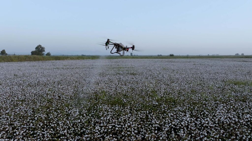 Guide: cotton farming with DJI drones