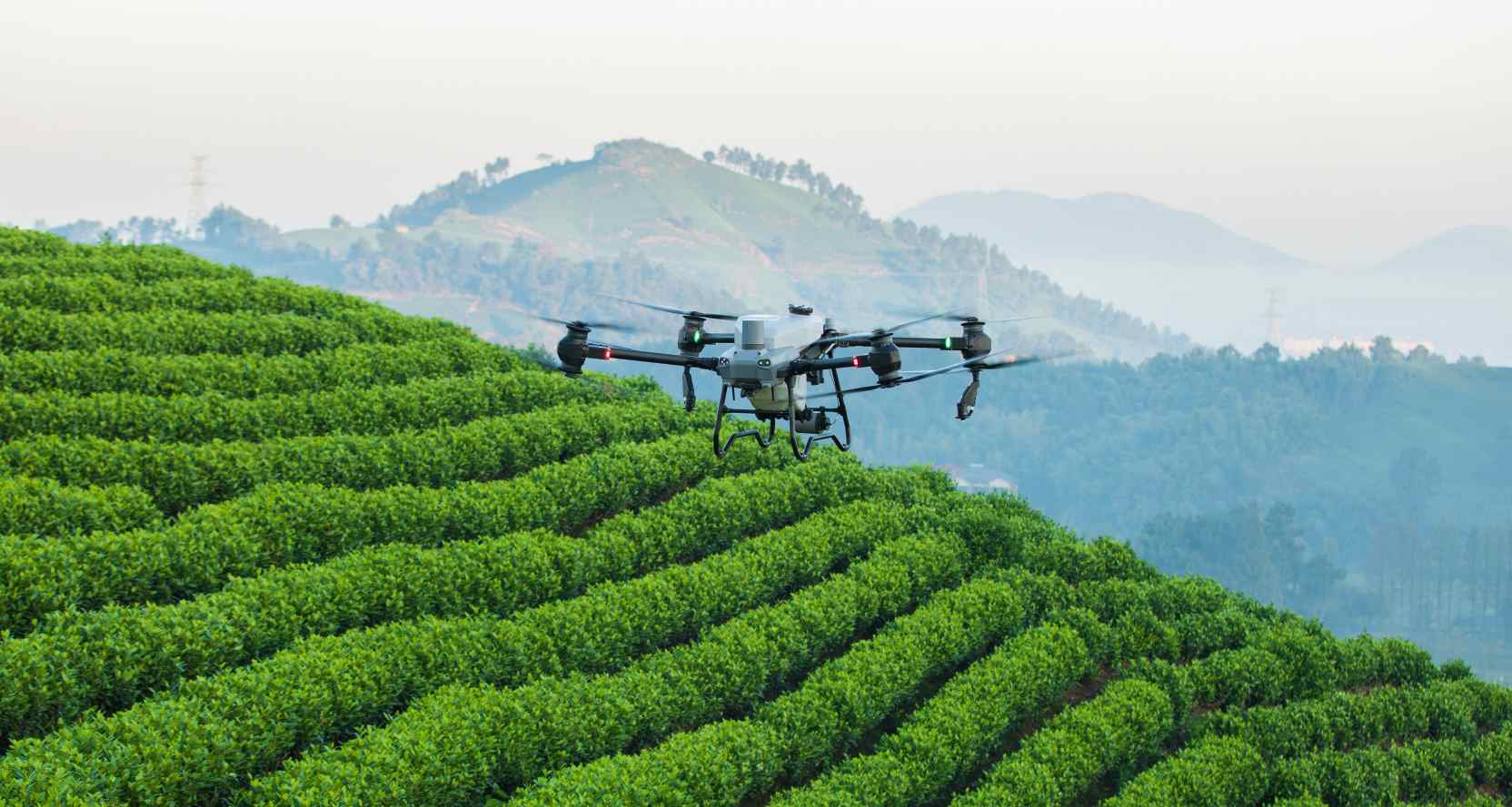 Ψεκαστικό drone DJI AGRAS πάνω από αναβαθμίδες σε πλαγιά