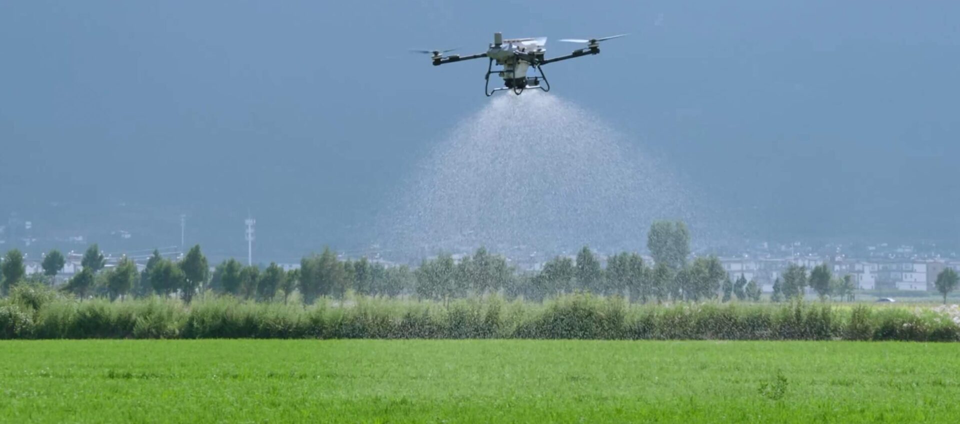 Ψεκαστικό drone DJI AGRAS ψεκάζει σε καλλιέργεια
